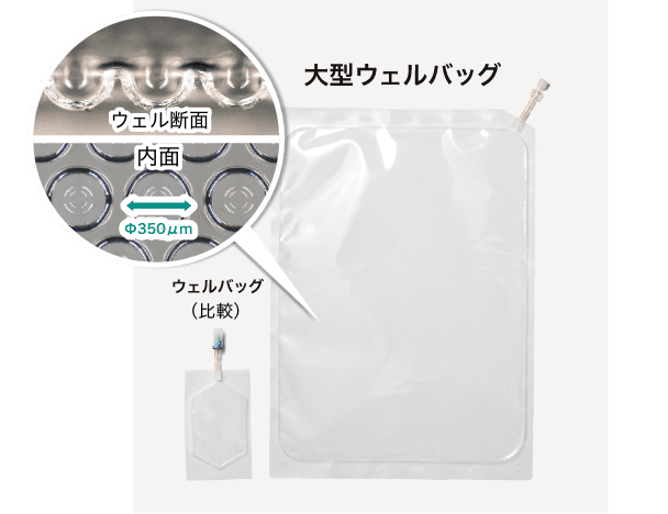 均一なスフェロイドを大量培養