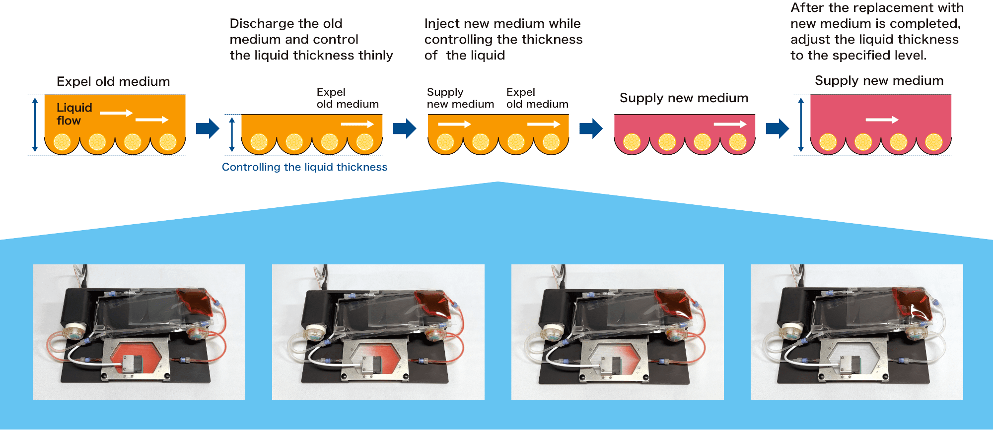 Uses a unique liquid thickness control method suitable for bag culture