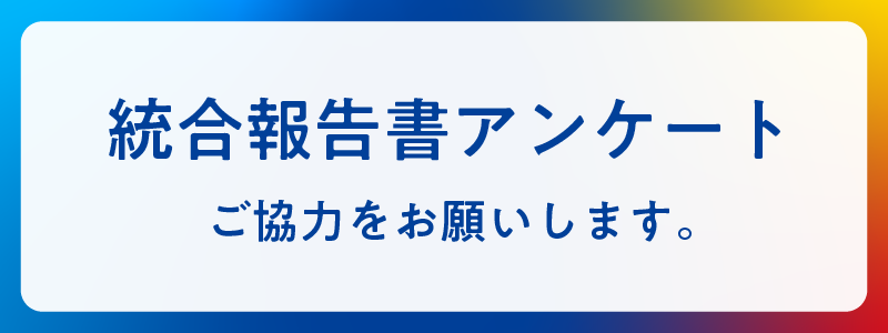 Integrated Report Questionnaire