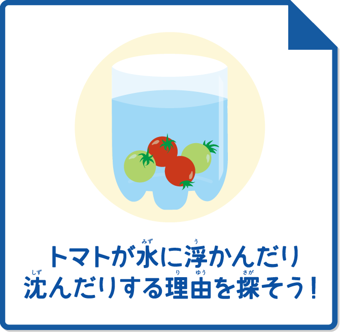 トマトが水に浮かんだり沈んだりする理由を探そう！